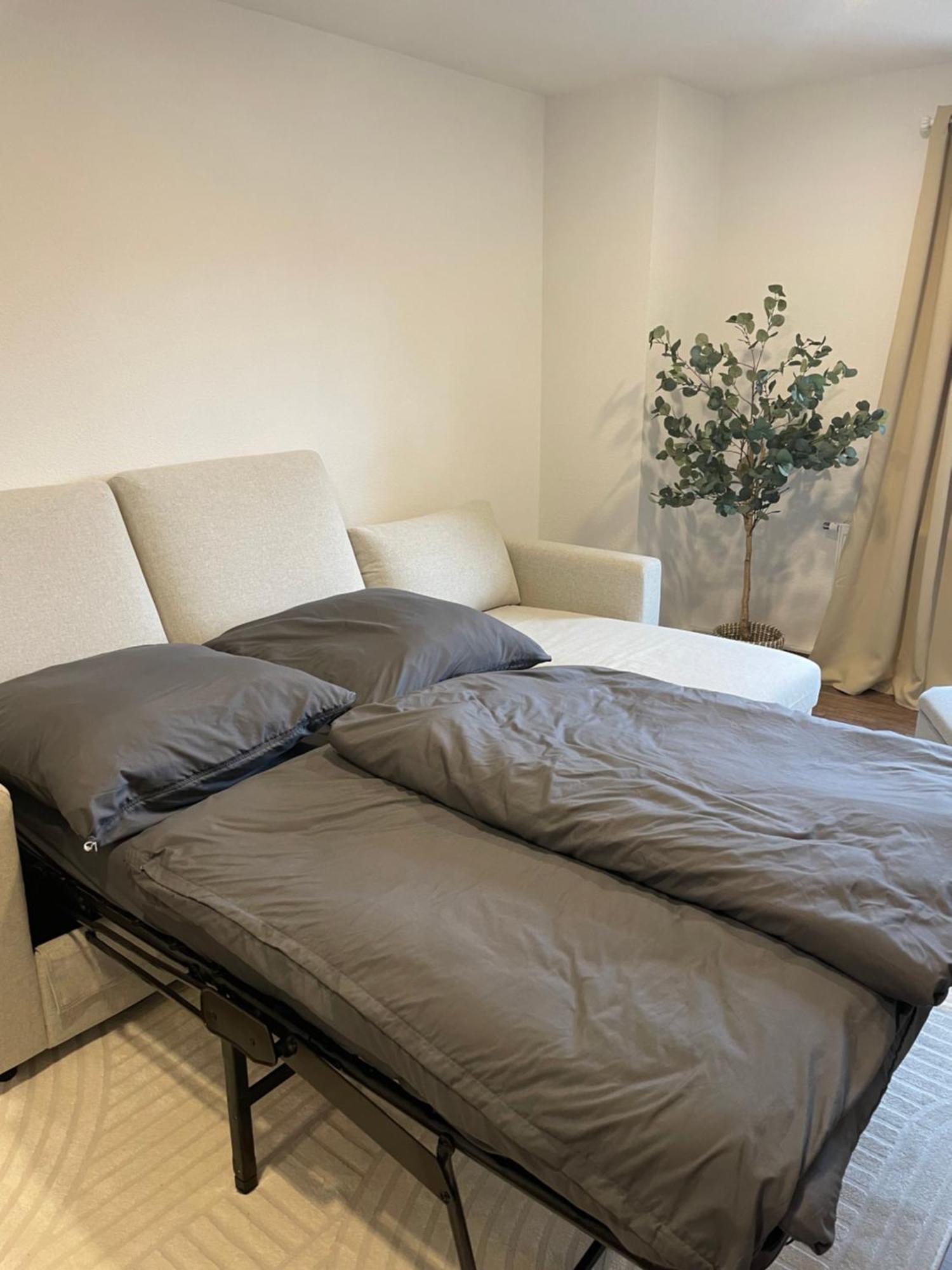 Apartamento Elise Oberweißbach Exterior foto